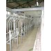 Доильный зал "Параллель" 2х18 с управлением стада, селекционная калитка, 700 транспондеров (SCR Израиль)